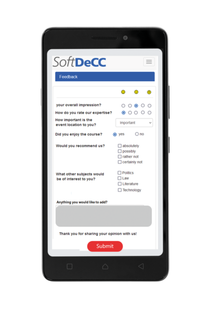 Online Questionnaire