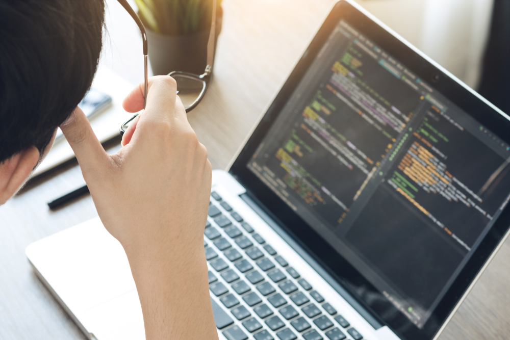 Software Developer