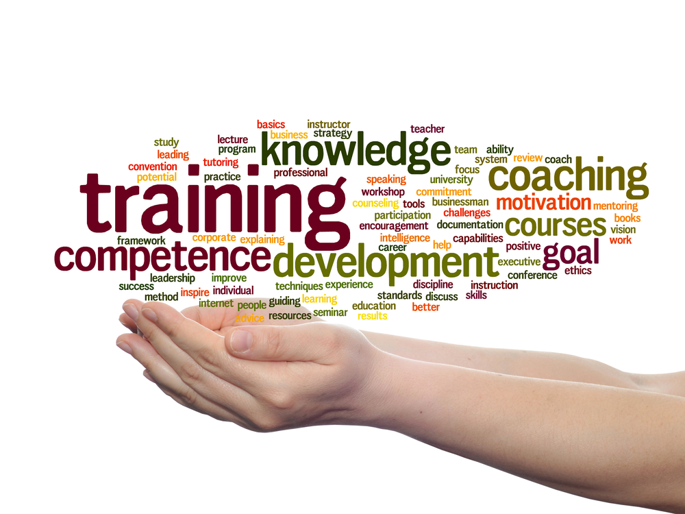 skill entwicklung